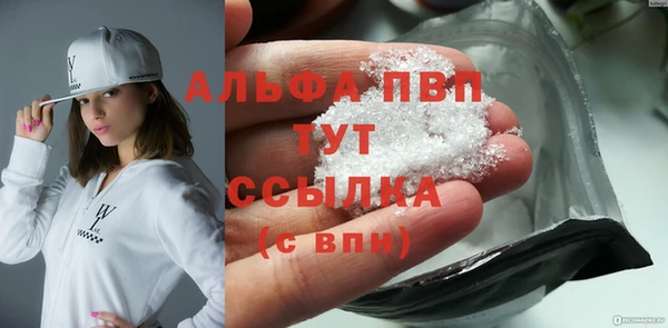 ГАЛЛЮЦИНОГЕННЫЕ ГРИБЫ Гусев