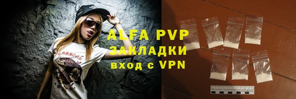 ГАЛЛЮЦИНОГЕННЫЕ ГРИБЫ Гусев
