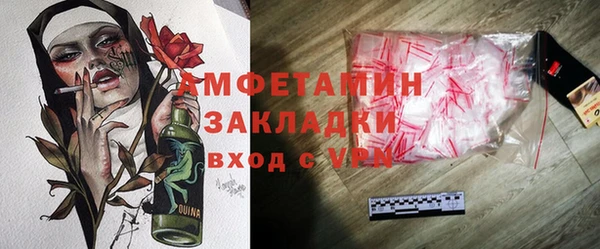 ГАЛЛЮЦИНОГЕННЫЕ ГРИБЫ Гусев