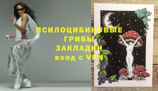 ГАЛЛЮЦИНОГЕННЫЕ ГРИБЫ Гусев