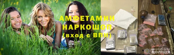 ГАЛЛЮЦИНОГЕННЫЕ ГРИБЫ Гусев