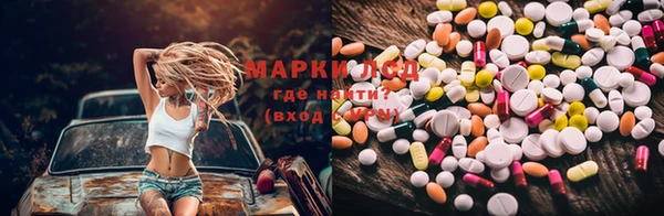ГАЛЛЮЦИНОГЕННЫЕ ГРИБЫ Гусев