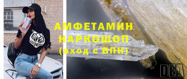 ГАЛЛЮЦИНОГЕННЫЕ ГРИБЫ Гусев