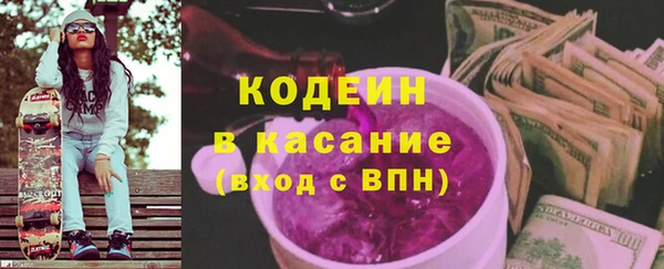 ГАЛЛЮЦИНОГЕННЫЕ ГРИБЫ Гусев
