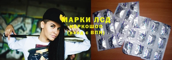 ГАЛЛЮЦИНОГЕННЫЕ ГРИБЫ Гусев