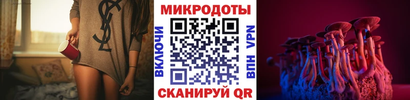 Купить  Красновишерск  Псилоцибиновые грибы Psilocybe 